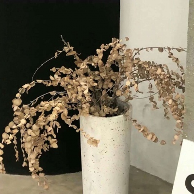 兽设四季场景设计福瑞交流群